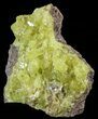 Lemon Yellow Sulfur Crystal Cluster - Bolivia #51579-2